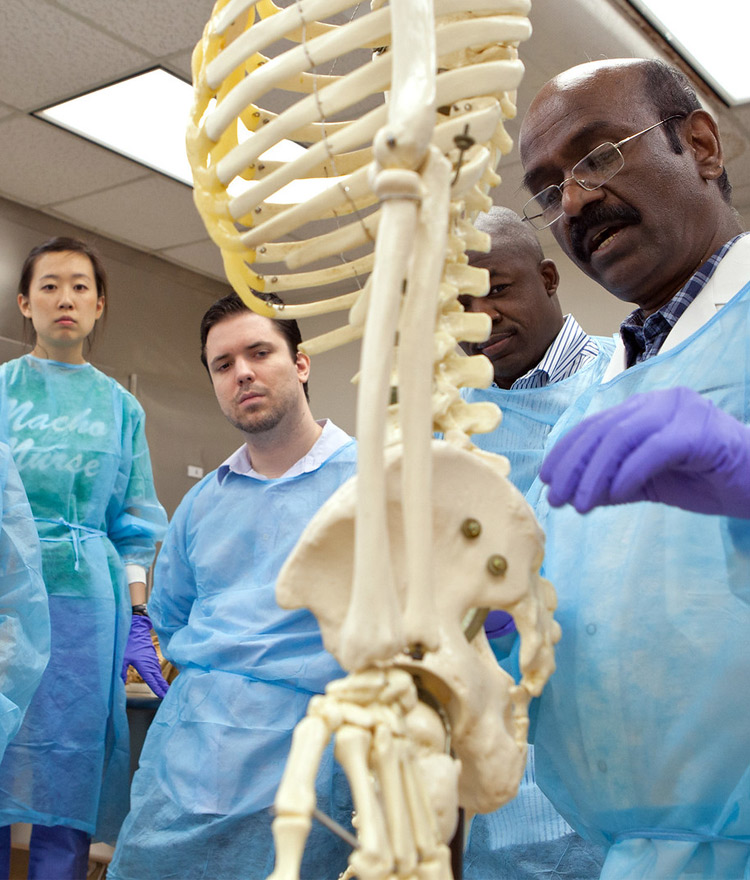 Several people looking at a skeleton