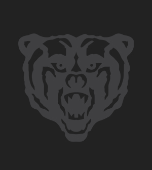 Black box with transparent bear head graphic