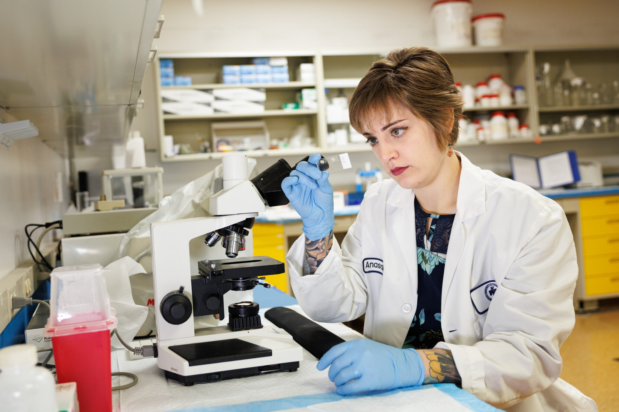 student researcher looking at tissue on microscope slide