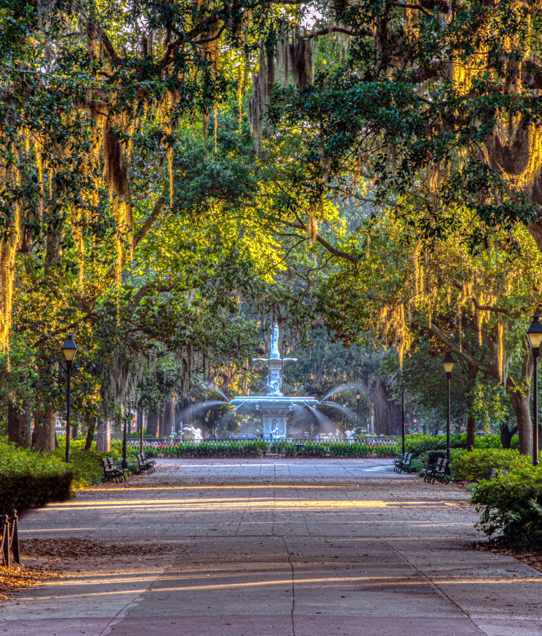 Water fountain feature framed by big oak trees