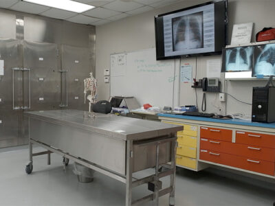 Anatomy lab room with metal bed, Screen with x-ray of chest on the wall.