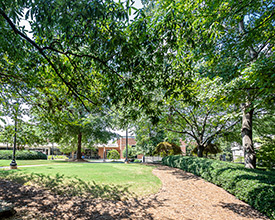 Green space with pathway to building